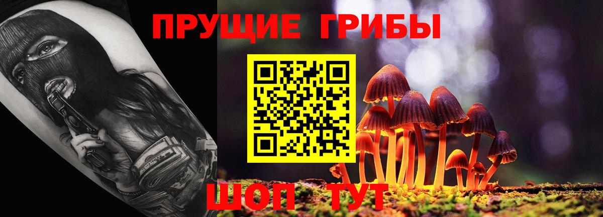 Ипатово  Галлюциногенные грибы Magic Shrooms  Вход с VPN 